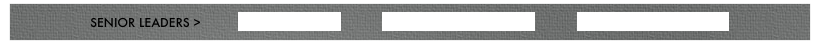 SENIOR LEADERS >          PROMINENT CEO          CHIEF LEARNING OFFICER          NEW FOREIGN INVESTOR